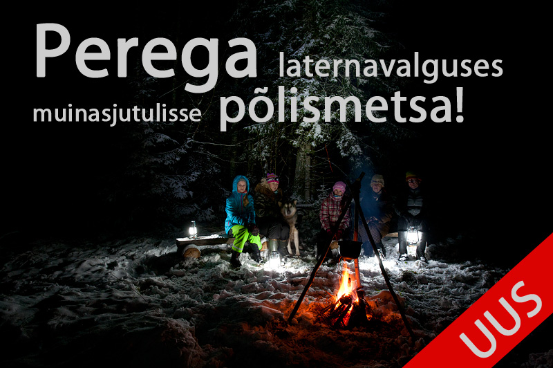 laternaga_metsa_3