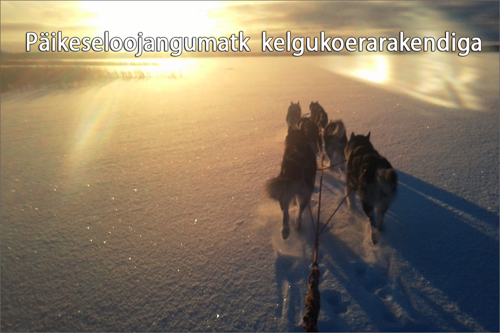 paikeseloojangumatk-kelgukoerarakendiga_1