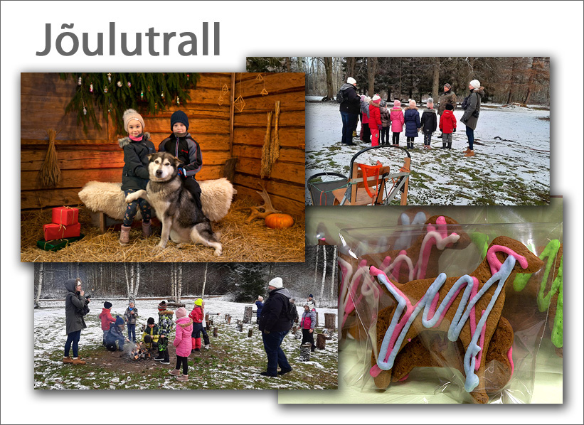 Joulutrall_2021